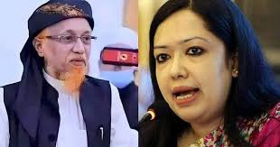 ব্রাহ্মণবাড়িয়া-২: বিএনপির মনোনয়ন পেলেন না রুমিন, জোট প্রার্থী জুনায়েদ হাবিব